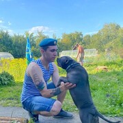 ���������� �����, ���� ������� �������, 28 ���, ������������ ��� ������, ����� � ���������, c�������� ���������, ���������