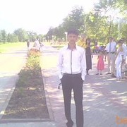  ,   Babur, 37 ,     , c 