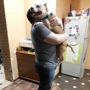 ���������� ������, ���� ������� MrDensav, 44 ����, ������������ ��� ������, ����� � ���������, c�������� ���������