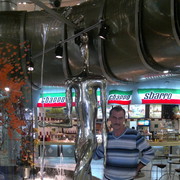  -,   , 66 ,     , c 
