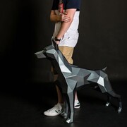 ���������� ������������, ���� ������� ������, 27 ���, ������������ ��� c�������� ���������