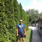 ���������� ������, ���� ������� ���������, 38 ���, ������������ ��� ������, ����� � ���������, c�������� ���������