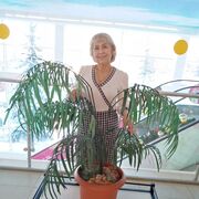 ���������� ������, ���� ������� �������, 67 ���, ������������ ��� ����� � ���������, ���������