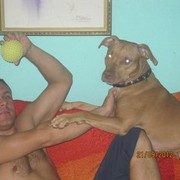 ���������� �����������, ���� ������� �����, 39 ���, ������������ ��� ������