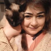 ���������� ������, ���� ������� ����, 44 ����, ������������ ��� ������, ����� � ���������