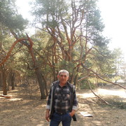  ,   , 58 ,   