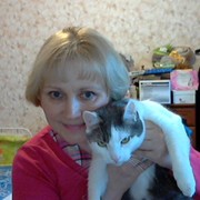  -,   , 58 ,   ,   , c 
