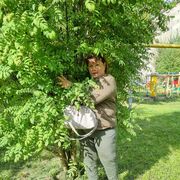 ���������� �������, ���� ������� �������, 57 ���, ������������ ��� ������, ����� � ���������