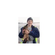 ���������� ��������, ���� ������� ������ �����, 44 ����, ������������ ��� ���������