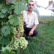  ,   , 74 ,   c 