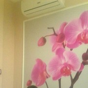 ���������� �����-���������, ���� ������� ��������, 40 ���, ������������ ��� ������, ����� � ���������, c�������� ���������, ���������