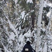 ���������� ����, ���� ������� ������, 59 ���, ������������ ��� ����� � ���������, c�������� ���������