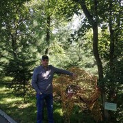 ���������� �����������, ���� ������� ���������, 38 ���, ������������ ��� ������, ����� � ���������, c�������� ���������, ���������