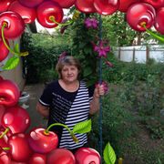  ,   , 60 ,   c 