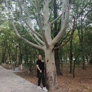 ���������� ������������, ���� ������� ������, 42 ����, ������������ ��� ������, ����� � ���������, c�������� ���������