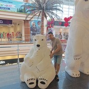  ,   , 31 ,   ,   , 