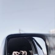 ���������� ����, ���� ������� �����, 30 ���, ������������ ��� ������, ����� � ���������