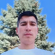 ���������� ������, ���� ������� ����, 41 ���, ������������ ��� ������, ����� � ���������