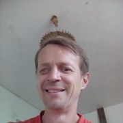  ,   , 49 ,   ,   , c 