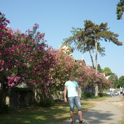 ���������� ������, ���� ������� ������, 48 ���, ������������ ��� ����� � ���������, c�������� ���������