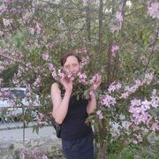 ���������� �������, ���� ������� ����, 41 ���, ������������ ��� ����� � ���������, c�������� ���������