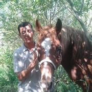  -,   Ali, 37 ,   ,   , c 