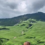 ���������� ���������, ���� ������� ������, 30 ���, ������������ ��� ������, ����� � ���������