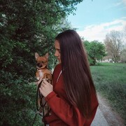 ���������� ������, ���� ������� ��������, 25 ���, ������������ ��� ������, ����� � ���������, c�������� ���������