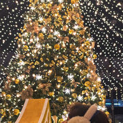 ���������� ������, ���� ������� �������, 22 ����, ������������ ��� ������, ����� � ���������