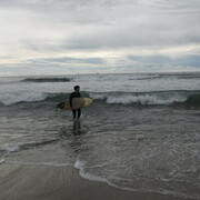 ���������� ����, ���� ������� ������, 28 ���, ������������ ��� ����� � ���������, c�������� ���������, ���������