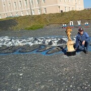 ���������� �����������, ���� ������� �������, 35 ���, ������������ ��� ������, ����� � ���������, c�������� ���������