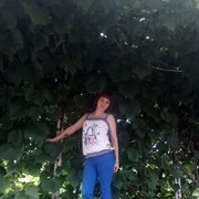  ,  , 44