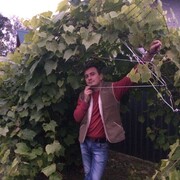 ���������� �������, ���� ������� ������, 35 ���, ������������ ��� ����� � ���������, c�������� ���������