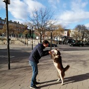 ���������� �������, ���� ������� Monterey, 42 ����, ������������ ��� ������, ����� � ���������, c�������� ���������