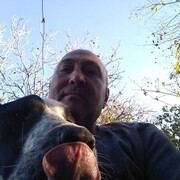  ,   , 52 ,   ,   