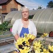 ���������� �������, ���� ������� ������, 48 ���, ������������ ��� ������, ����� � ���������, c�������� ���������