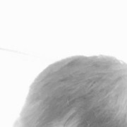 ���������� ���������, ���� ������� �������, 40 ���, ������������ ��� ������, ����� � ���������, c�������� ���������