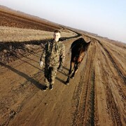 ���������� ��������, ���� ������� �������, 31 ���, ������������ ��� ����� � ���������, c�������� ���������