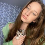 ���������� ���������, ����