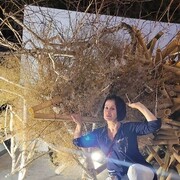  ,   , 51 ,     , 