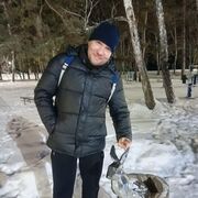 ���������� ����, ���� ������� ����������, 46 ���, ������������ ��� c�������� ���������