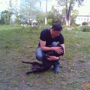  ,   , 50 ,  