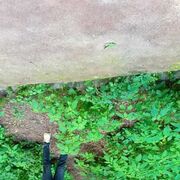 ���������� ������, ���� ������� ���, 27 ���, ������������ ��� ������, ����� � ���������