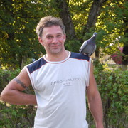  ,   , 55 ,   