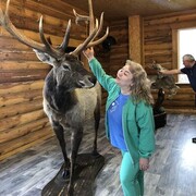 ���������� �����, ���� ������� ���������, 50 ���, ������������ ��� ����� � ���������, c�������� ���������