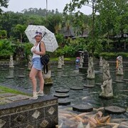 ���������� ������, ���� ������� ���, 40 ���, ������������ ��� ������, ����� � ���������, c�������� ���������, ���������