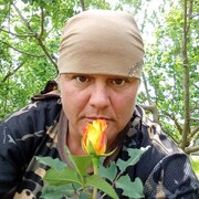  ,   , 48 ,   