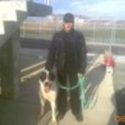 ���������� �����������, ���� ������� �����, 39 ���, ������������ ��� ������, ����� � ���������, c�������� ���������