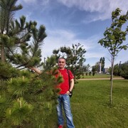  --,   , 55 ,   c 