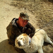 ���������� ���������, ���� ������� ������, 41 ���, ������������ 